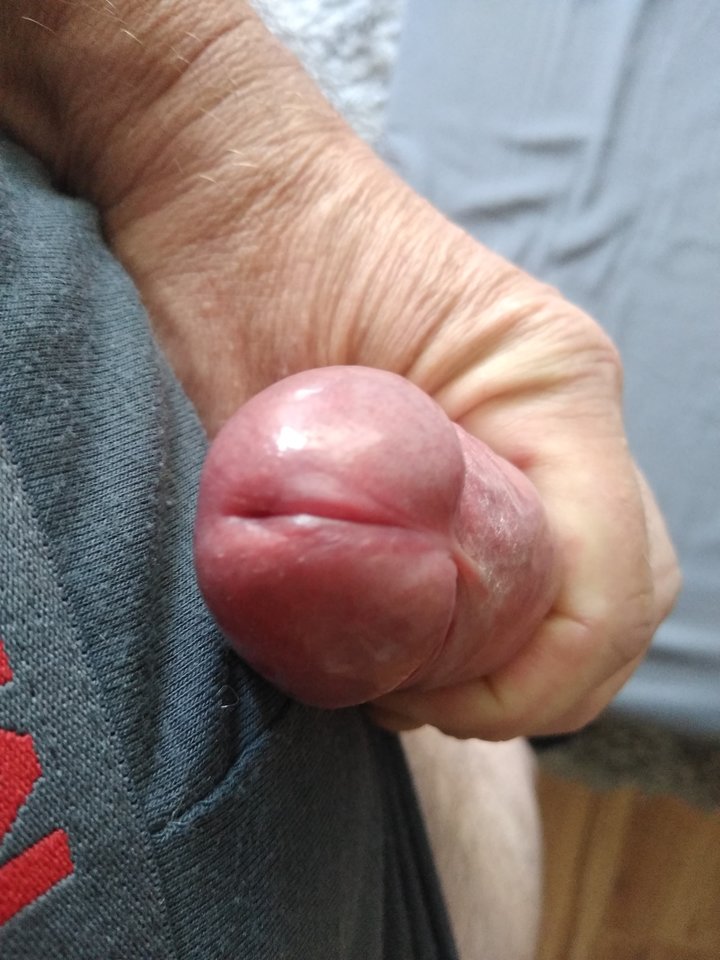 15606739109221358224522287324723.jpg - twoeyes