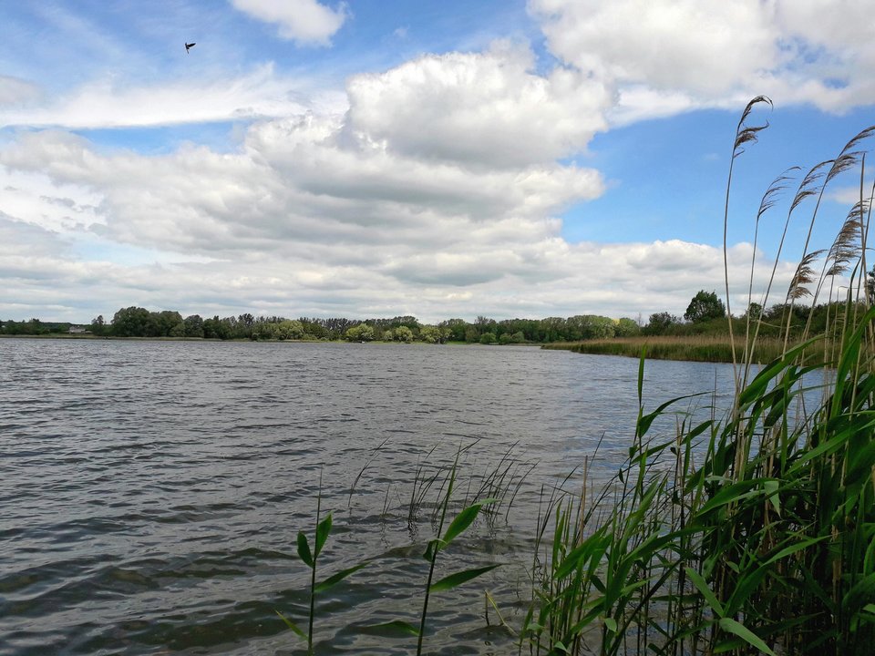 20190616_125746.jpg - Alien65