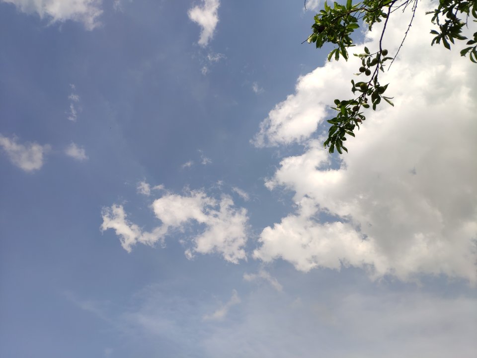 15606927743236192774486868915799.jpg - Alaveo