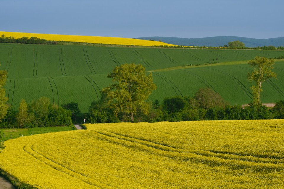 falowanie i spadanie - marquiz