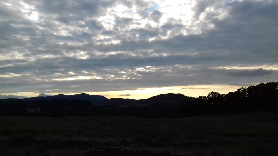 20190616_195455.jpg - Kur_acjuszka