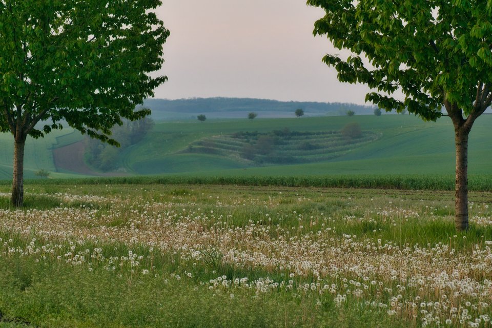 symetrycznie i wiosennie - marquiz