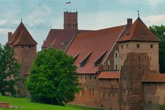 drzewo pod murami zamku