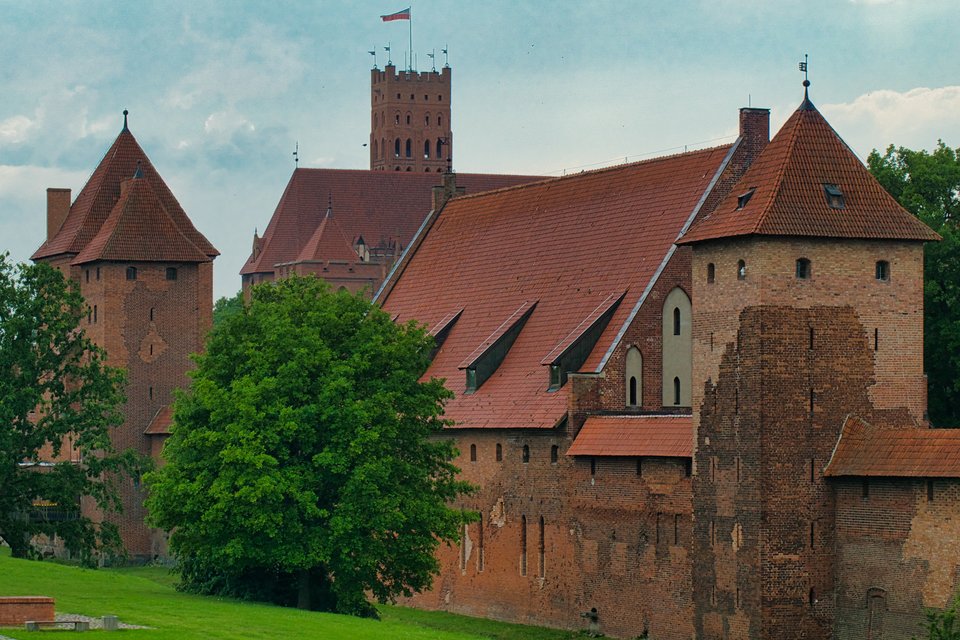 drzewo pod murami zamku - marquiz