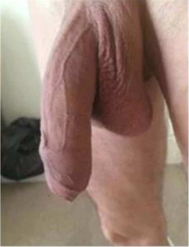 BA3BC007-014D-4B9B-9BE1-A2D1E4D467A3.jpeg - tothetom