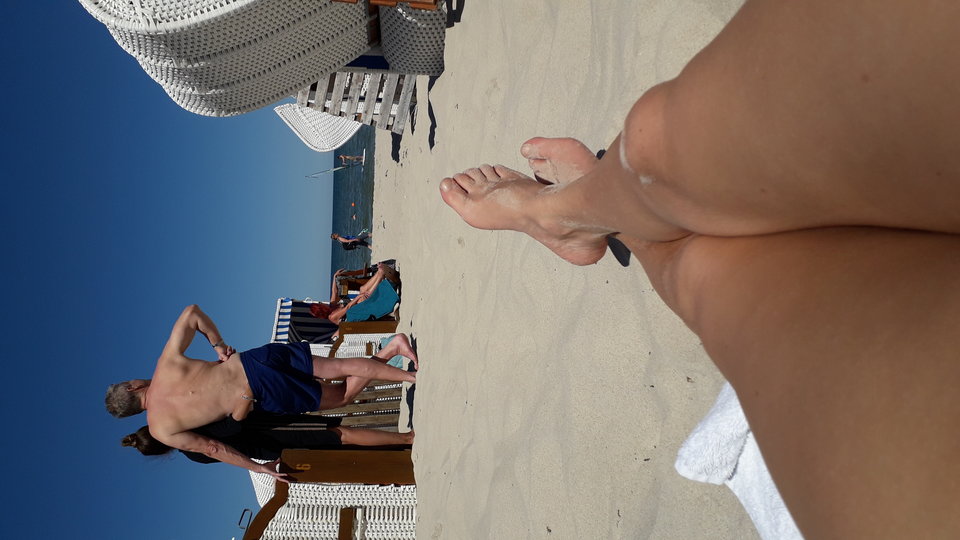 20190617_144435.jpg - Jajola1