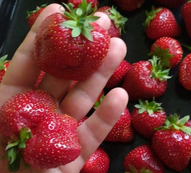 IMG_20190619_004551.jpg - jacekplacek12