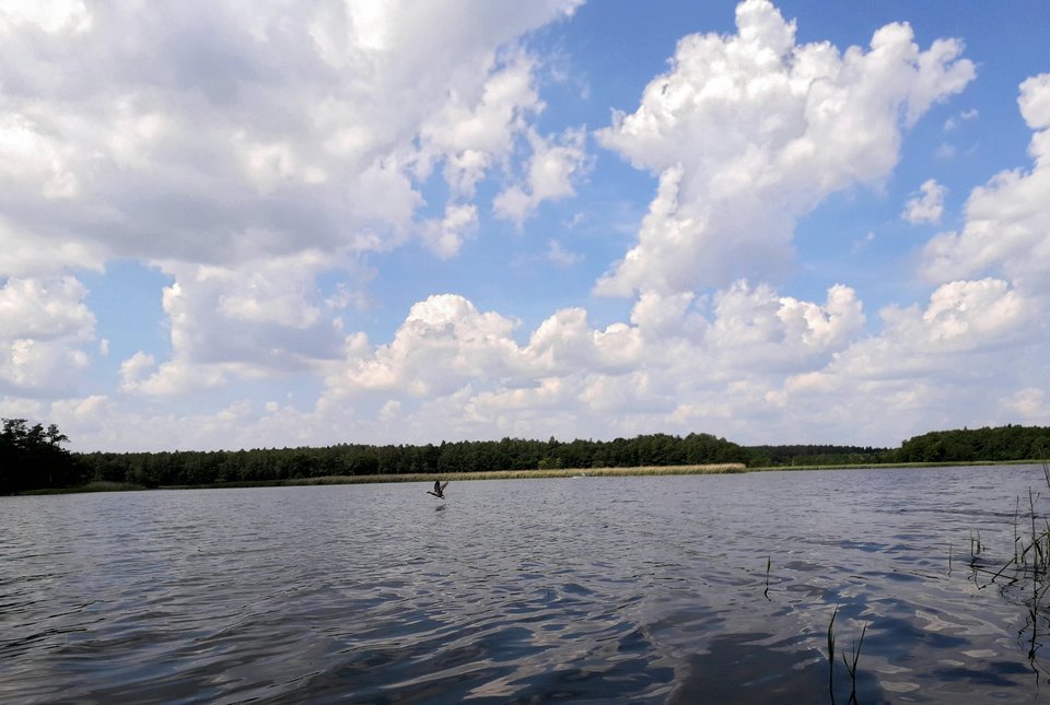 20190619_133359.jpg - Alien65