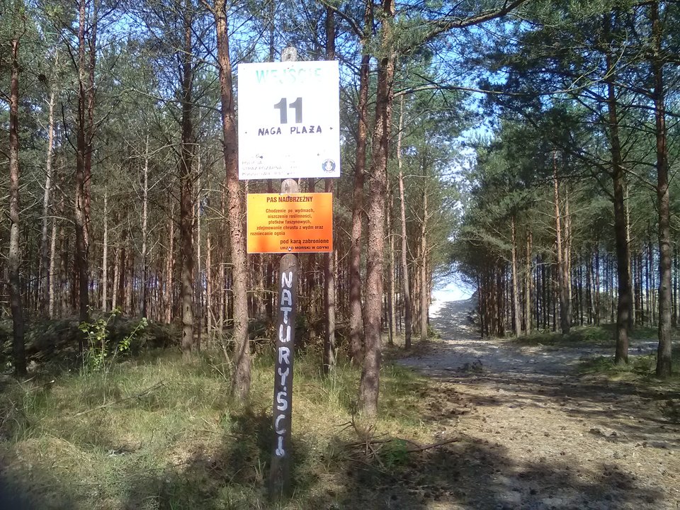 20.06.2019.jpg - liboom