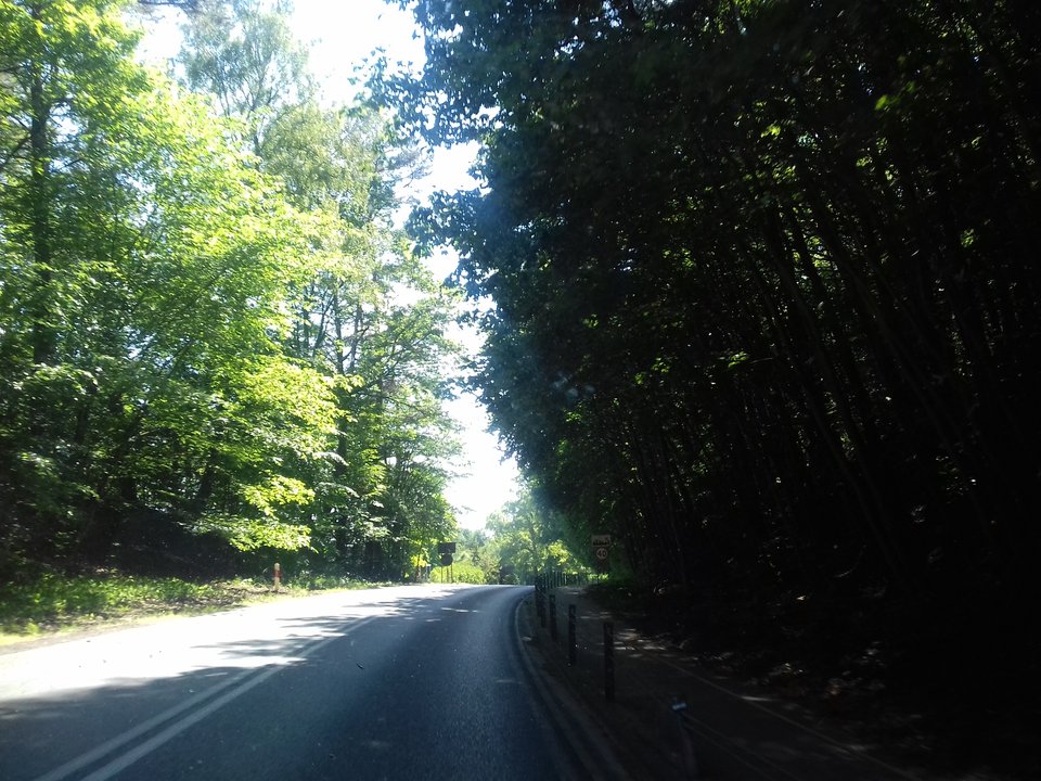 20190614_154528.jpg - torii99