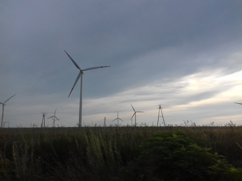 20190614_194512.jpg - torii99