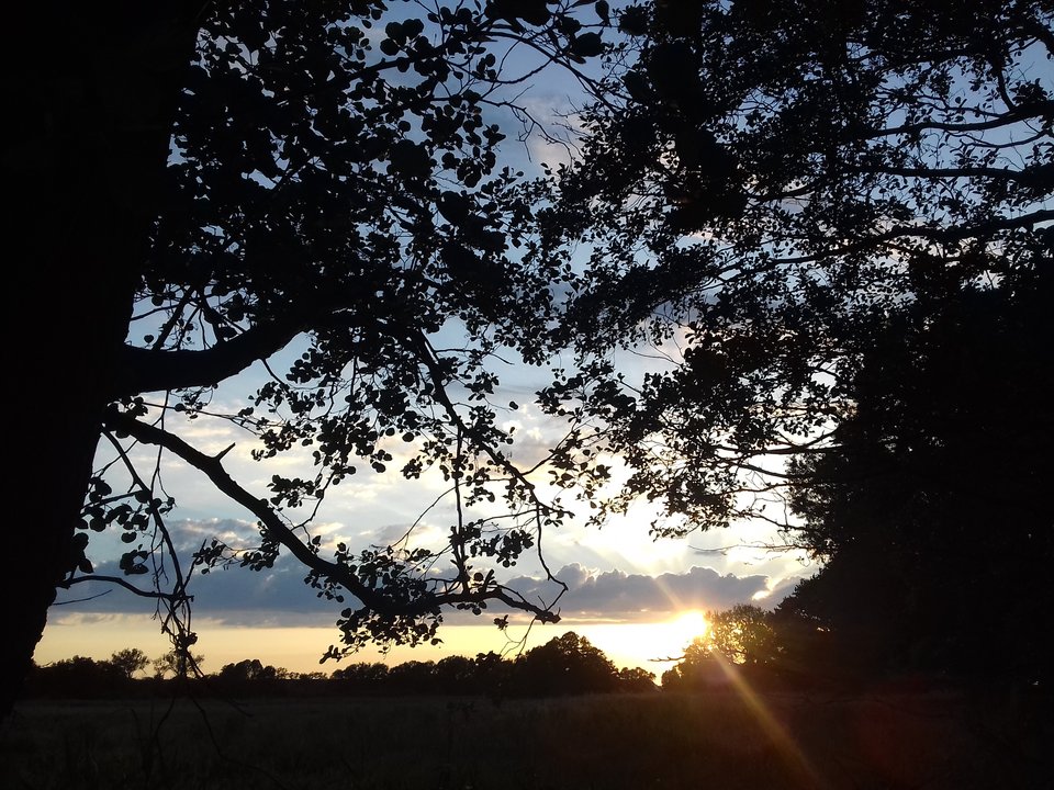 20190613_205302.jpg - torii99