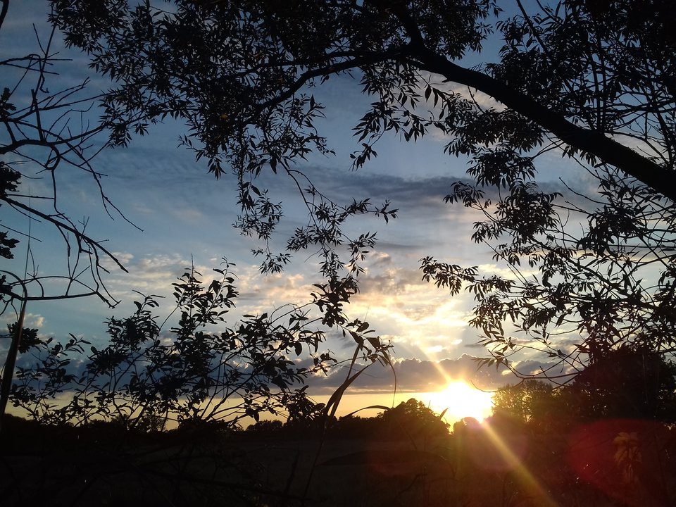 20190613_205323.jpg - torii99