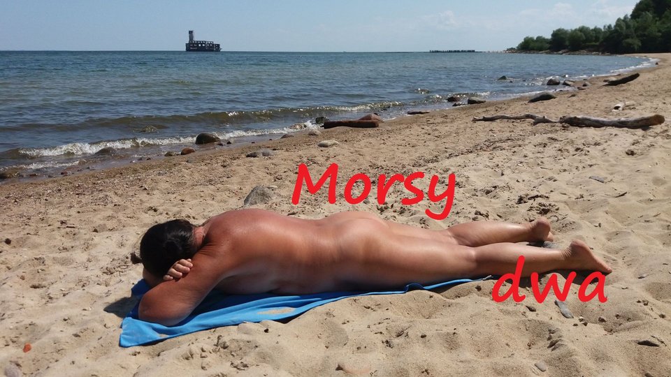 Nad morzem i ................ - Morsy_dwa