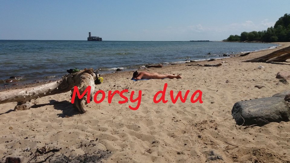 Nad morzem i ................ - Morsy_dwa