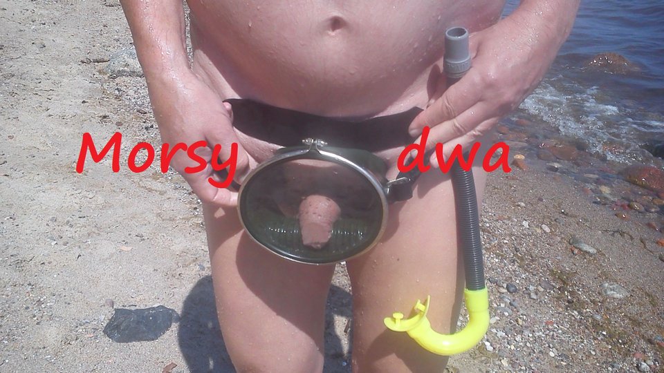 Nad morzem i ................ - Morsy_dwa