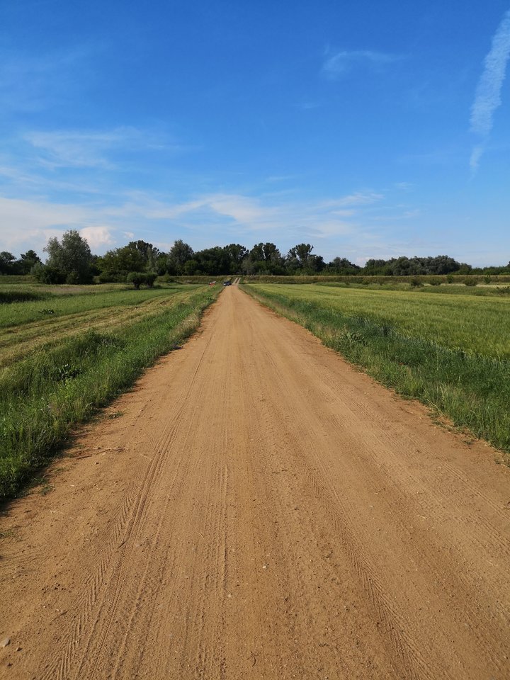 2019-06-20 17.34.39.jpg - tom6970