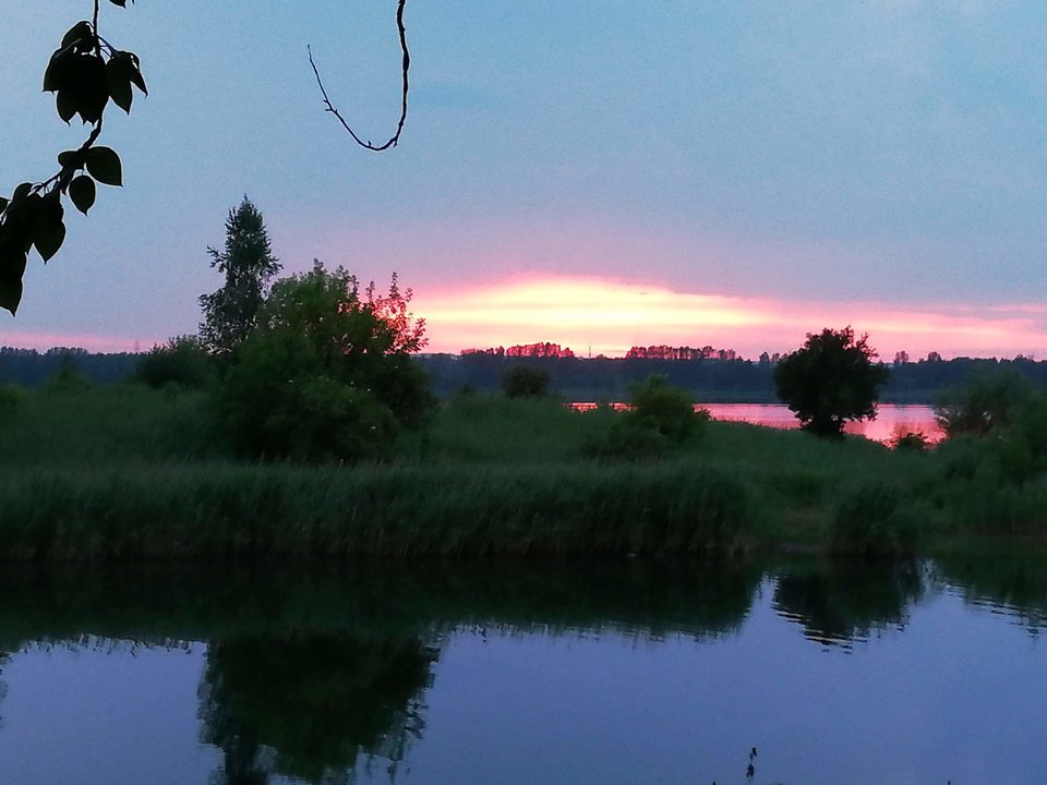 received_579683569105046.jpeg - bariobrosss