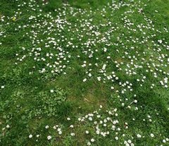 IMG_20190621_203455.jpg