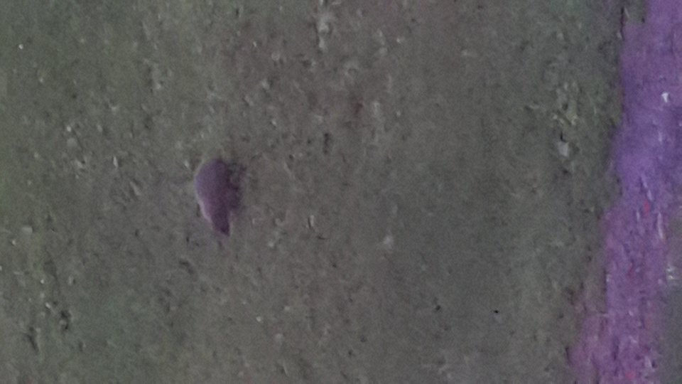 20190621_212652.jpg - reporter13