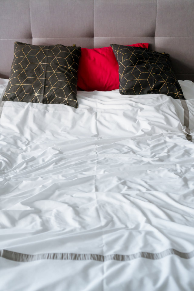 DSC06460.jpg - scar88