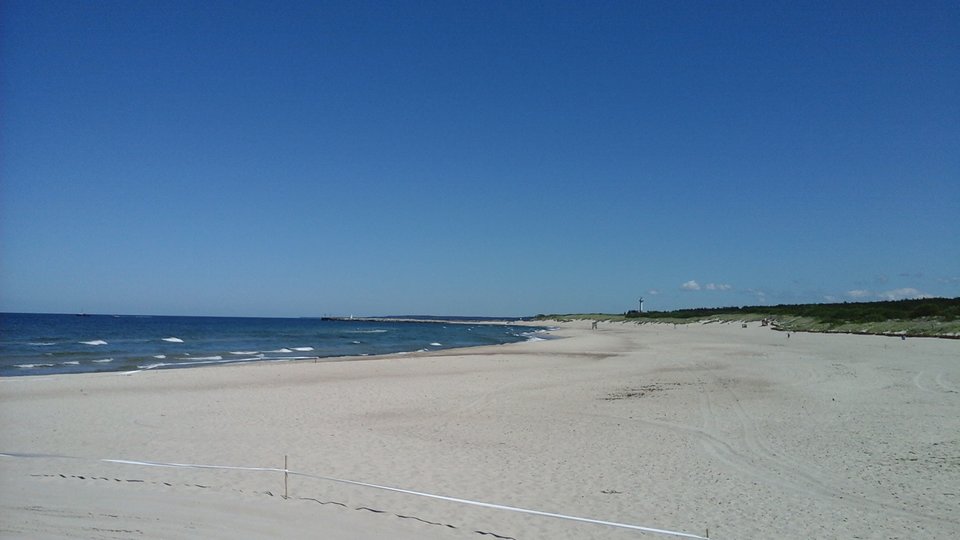 20190622_133300.jpg - biMiKpuszysta