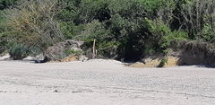 20190622_155026.jpg