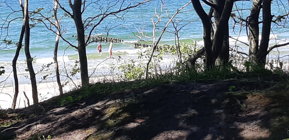 20190622_163215.jpg - mlody1277