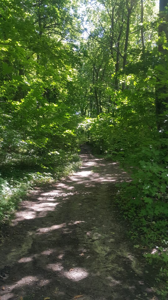 20190623_134452.jpg - reporter13