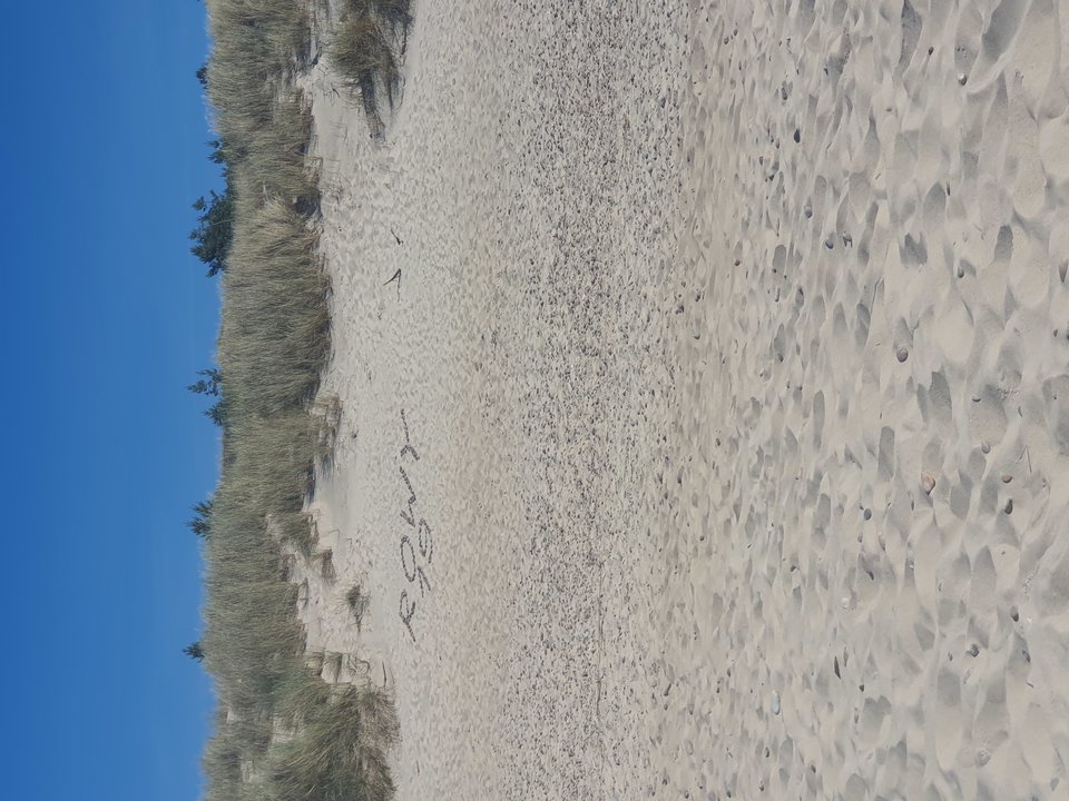 20190623_163114.jpg - mmm00