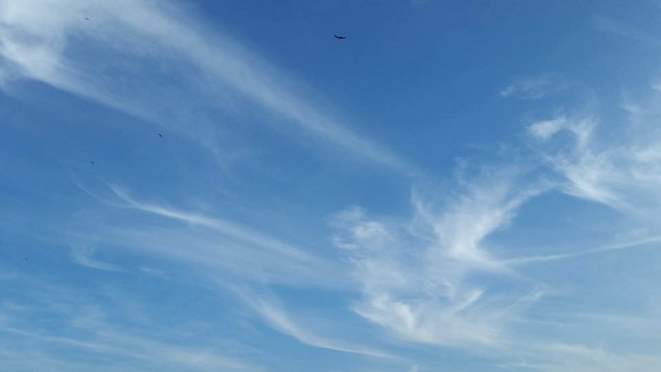 20190618_183028_011.jpg - skrad_dleihs