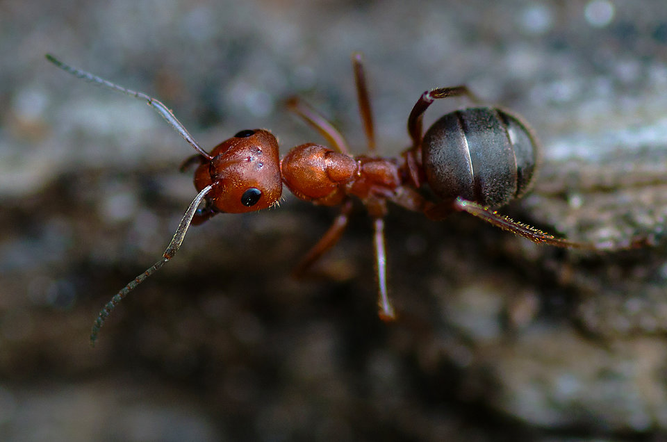 Dzień dobry :) - mystic