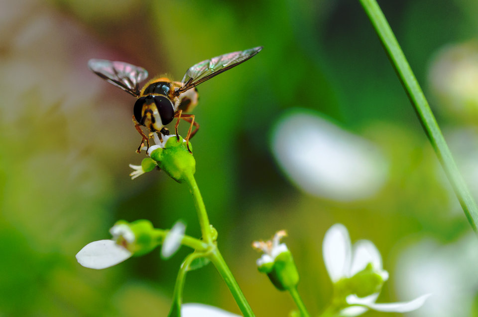 Tak sobie przycupnęłam - mystic