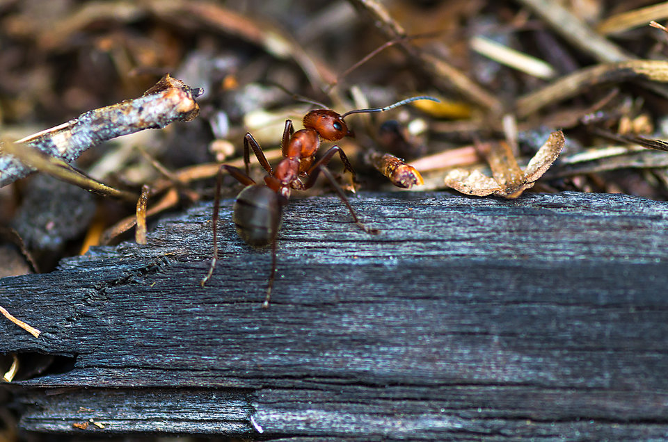 I se poszła... - mystic