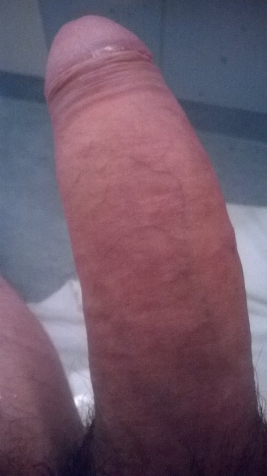 Mój wojownik - SoyVa