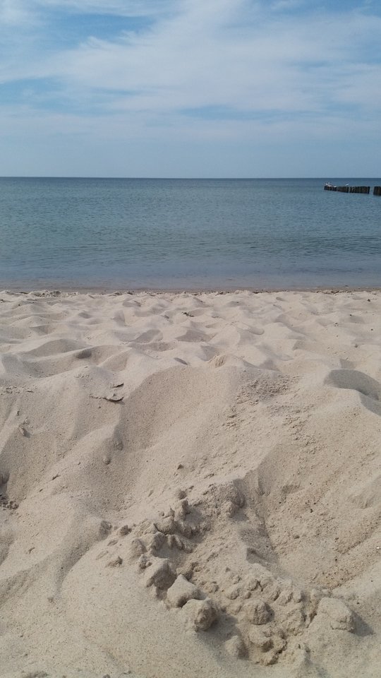 20190606_155205.jpg - sloneczny12