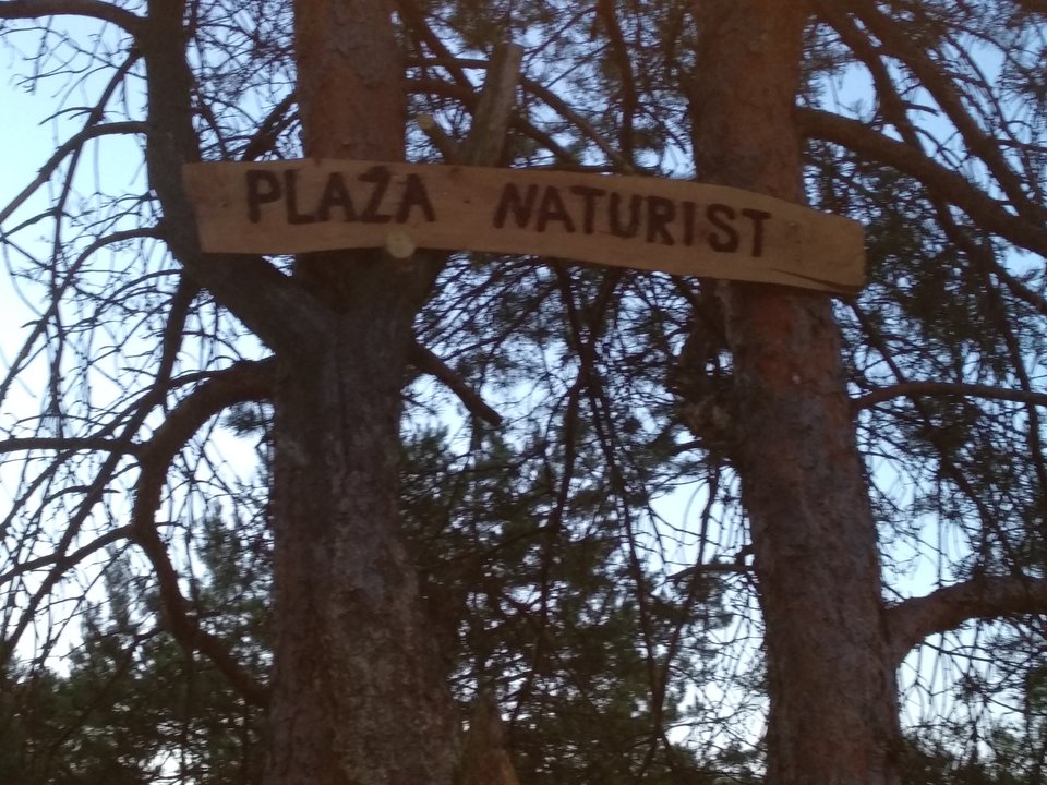 IMG_20190624_210839.jpg - misiak0123