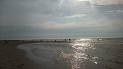 20190624_184553.jpg