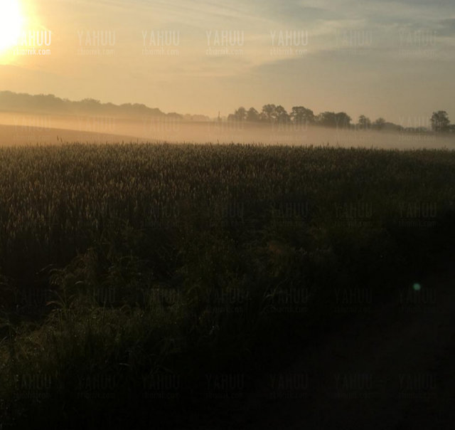 20190625_101720.jpg - yahuu