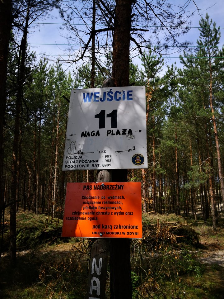 IMG_20190625_113159.jpg - monikapiotr2018