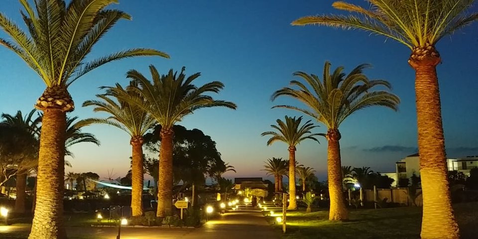 IMG-20190612-WA0000.jpg - Bawidamek69