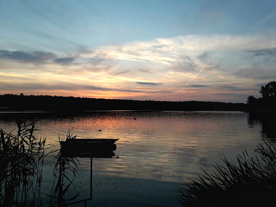 20190625_214655.jpg - Alien65