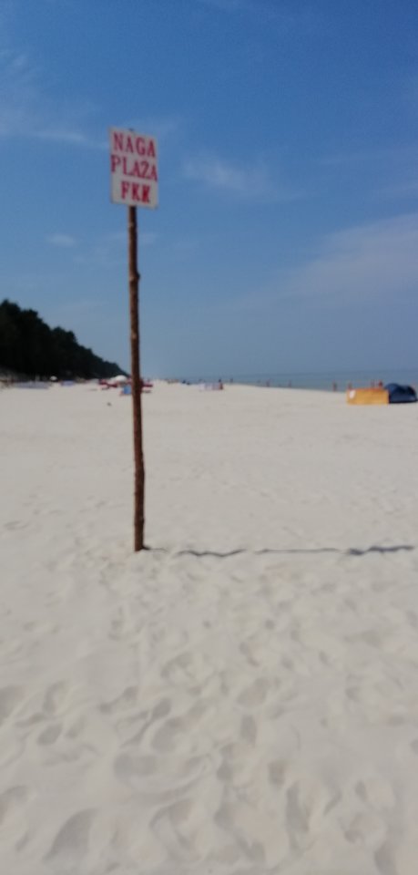 IMG_20190626_124603.jpg - Tom_1959