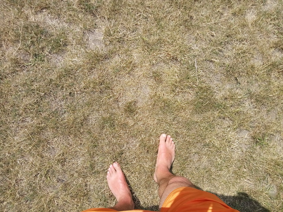 szarozielone.jpg - Diamond_stud