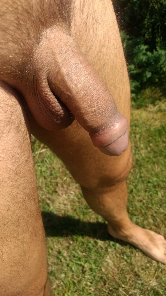 IMG_20190626_095317883.jpg - rollbi