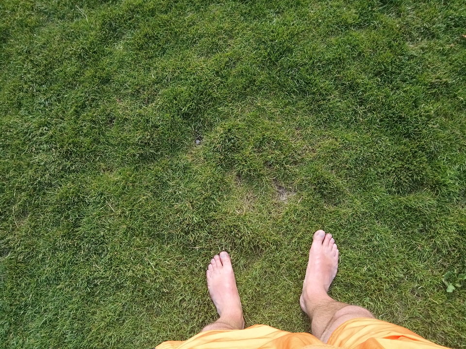 prestige.jpg - Diamond_stud