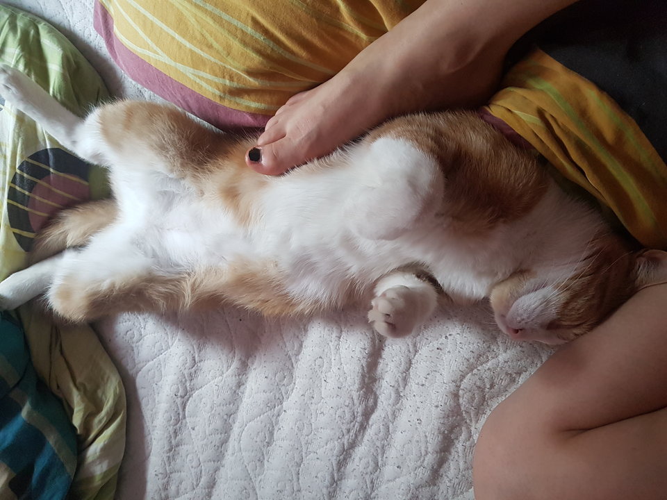 15615721327448336645404898631881.jpg - FeetFootTeen