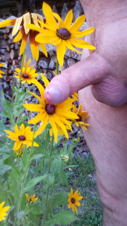 IMG_20190627_185422.jpg - DajeWam