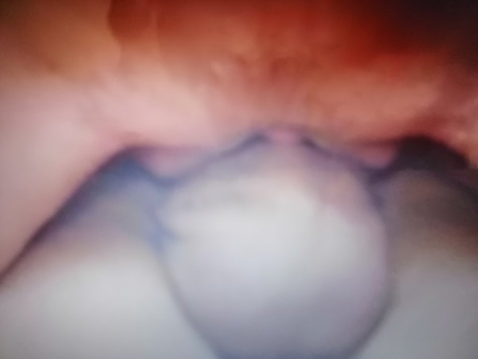 IMG_20190628_062227.jpg - 12jm