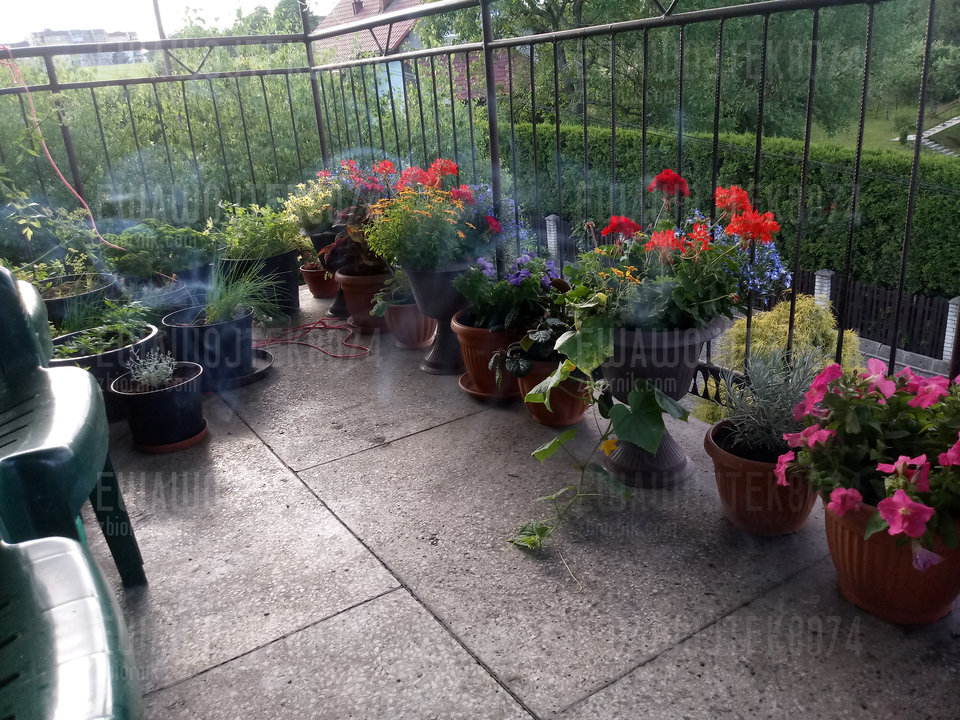 20190628_192009.jpg - ewawojtek8074